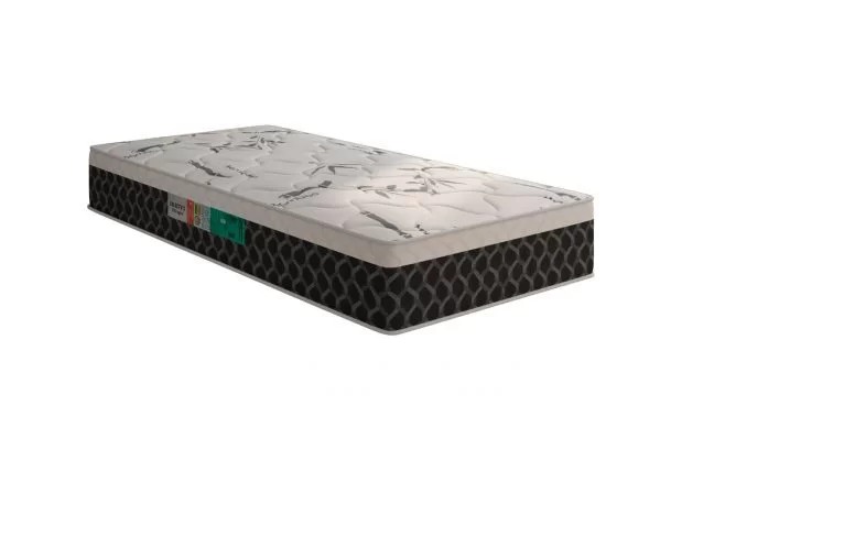 SelectusD33Solteiro24